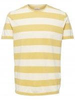 T-SHIRT HOMEM PENN SELECTED T-SHIRT HOMEM PENN SELECTED