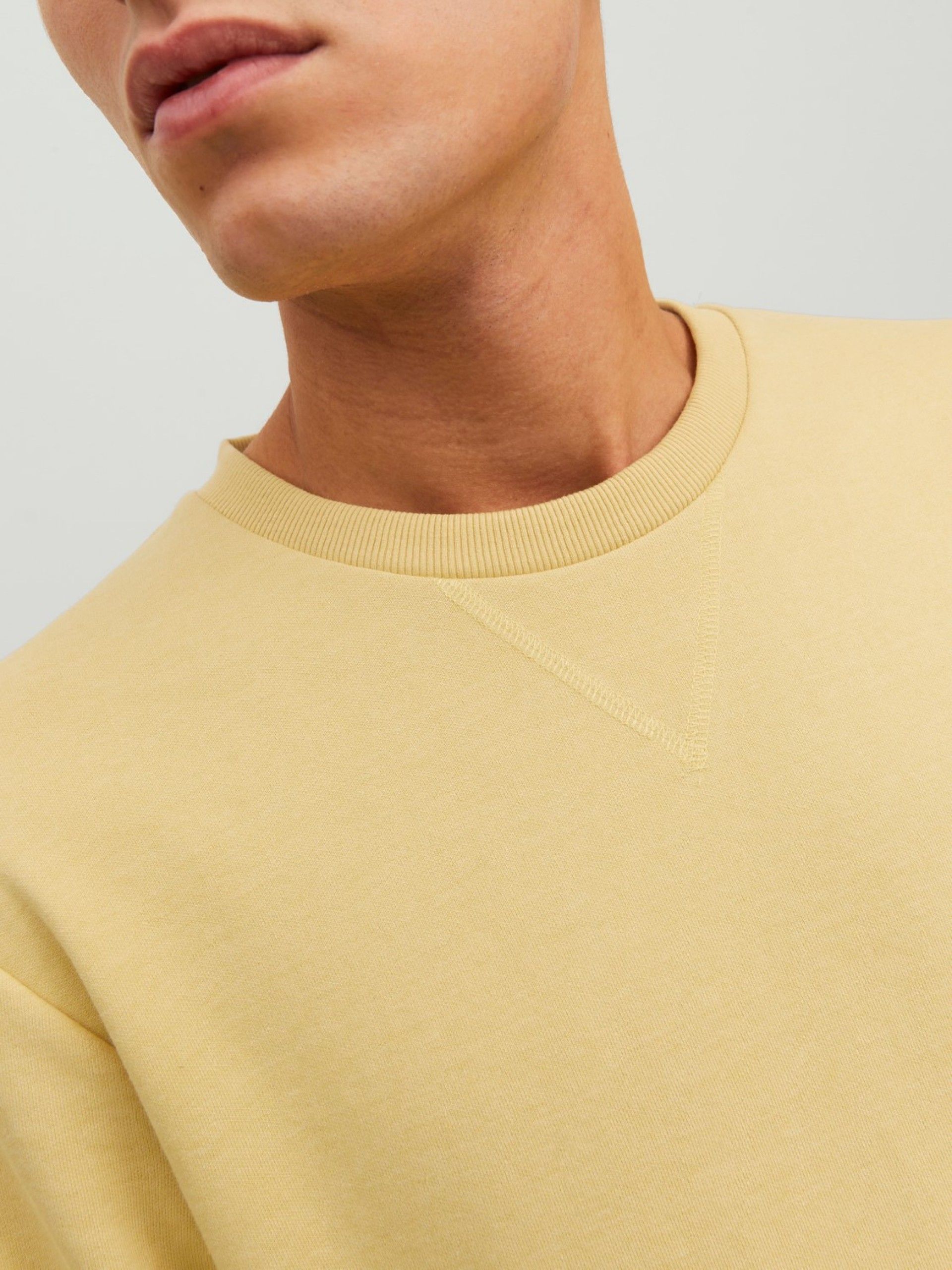 Sweatshirt Homem Basic Jack Jones