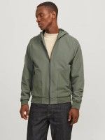 Verde OLIVER
