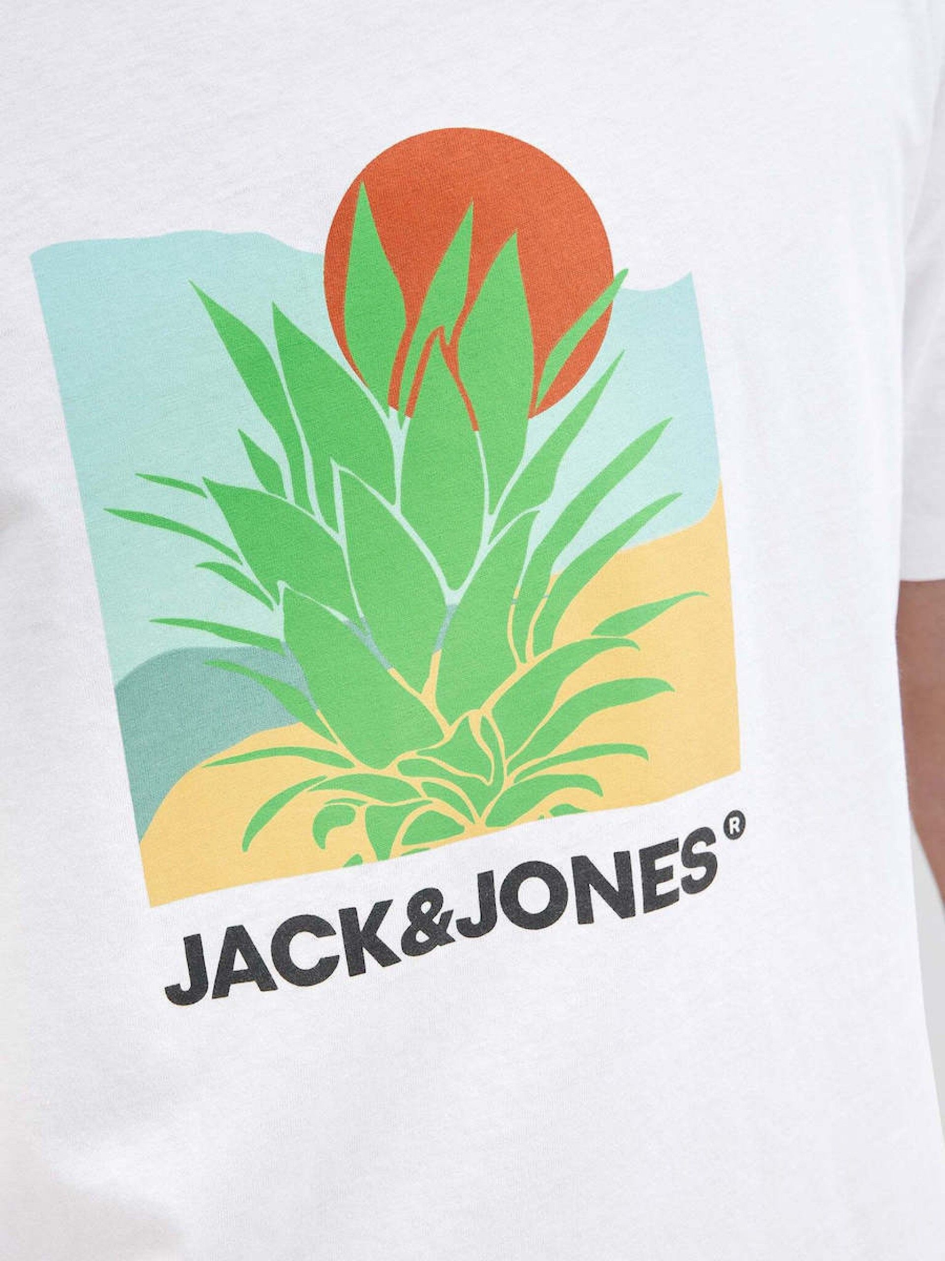 T-Shirt Homem BARBADOS Jack Jones