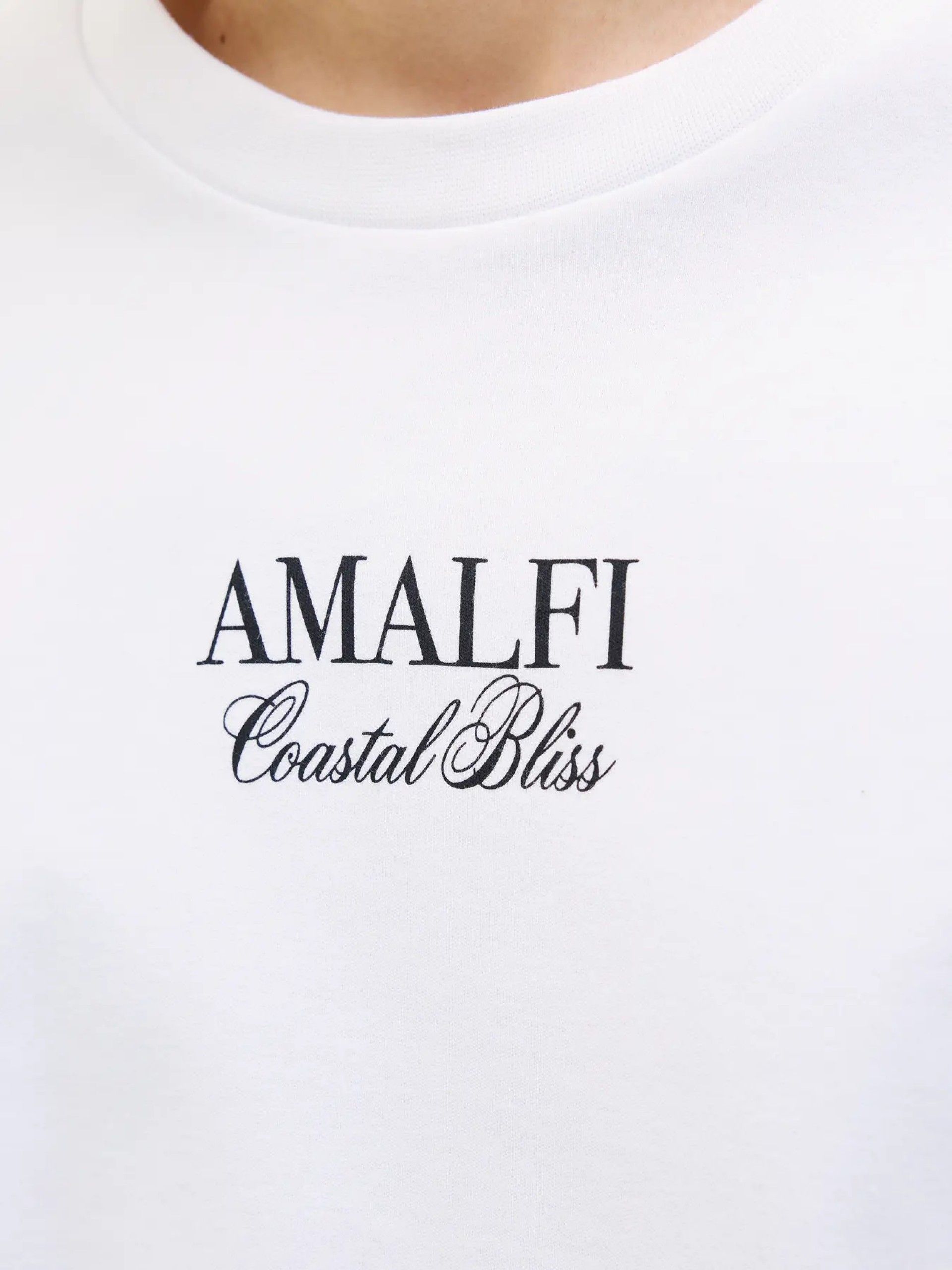 T-Shirt Homem Jprbladestination Back Print Jack & Jones