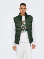 Verde Garrafa