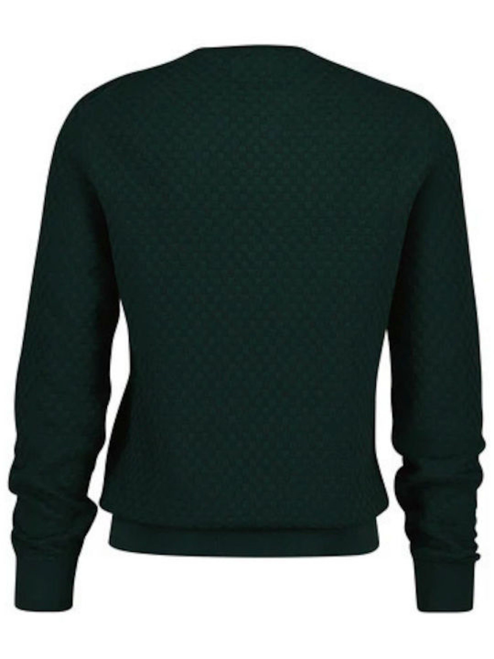 Camisola  Homem GANT  Micro Texture