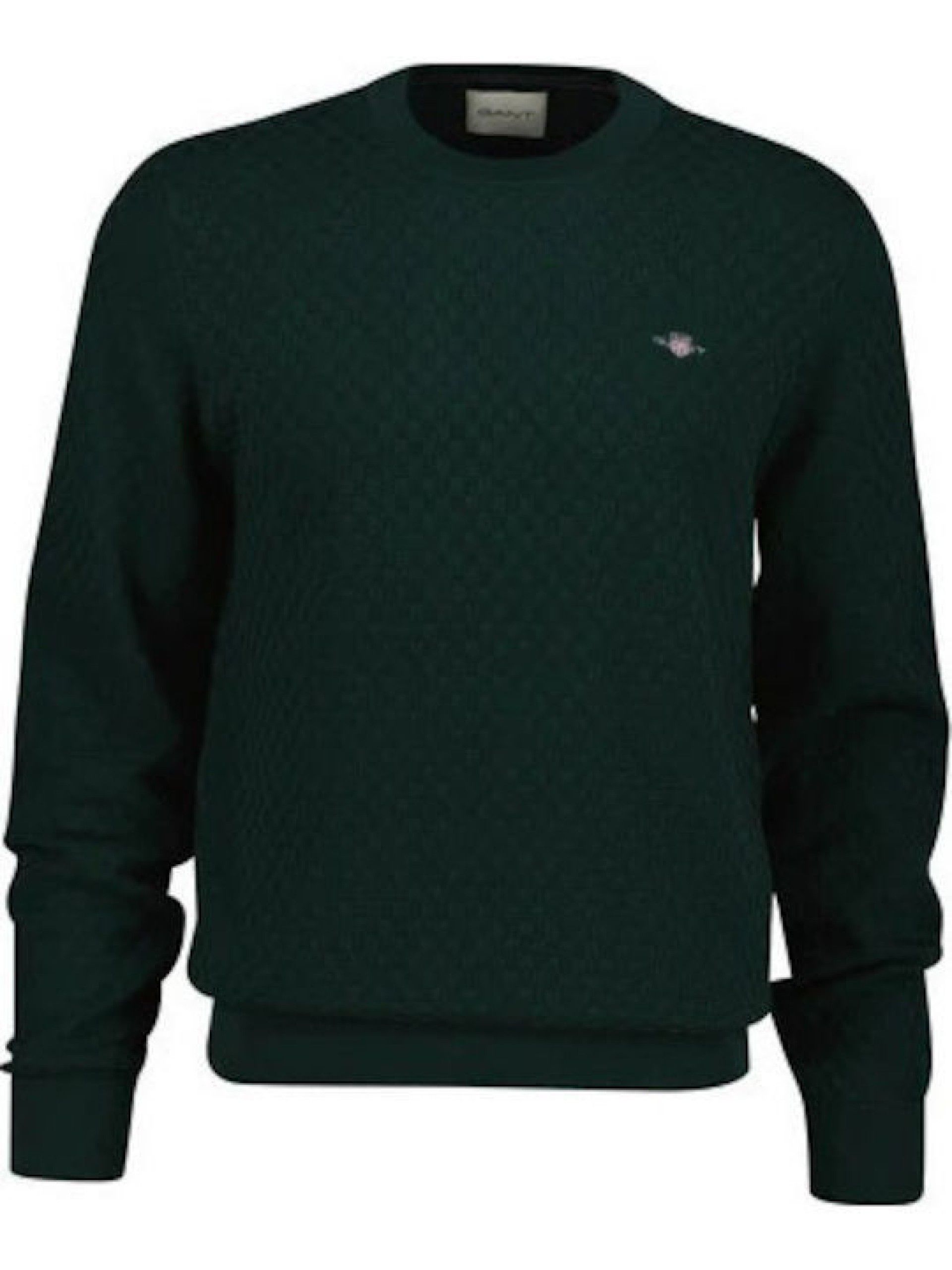 Camisola  Homem GANT  Micro Texture