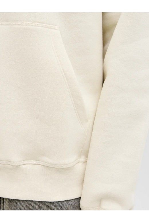 Sweat Homem Capuz BLEECKER ORIGINAL Jack Jones Sweat Homem Capuz BLEECKER ORIGINAL Jack Jones